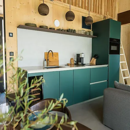 Luxury With Private Swimming Pool And Sauna, In The Achterhoek Holiday home *